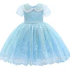 Blue Dolly Embroidered Dress