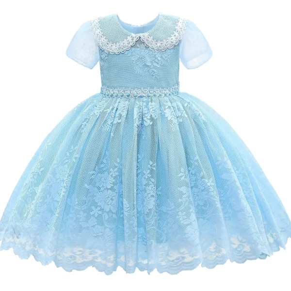 Blue Dolly Embroidered Dress
