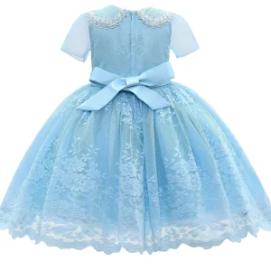 Blue Dolly Embroidered Dress