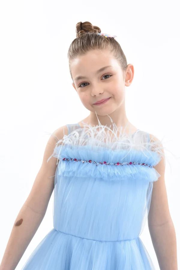 Blue Granada Ruffle Tulle Dress