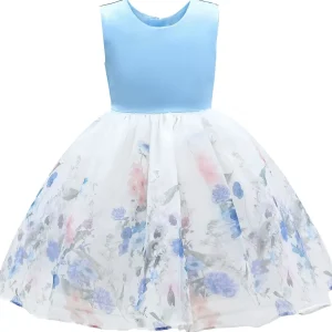 Blue Mabel Floral Garden Organza Dress