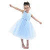 Blue Pearl Bow Tulle Dress