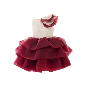 Burgundy Ladera Tiered Ruffle Dress