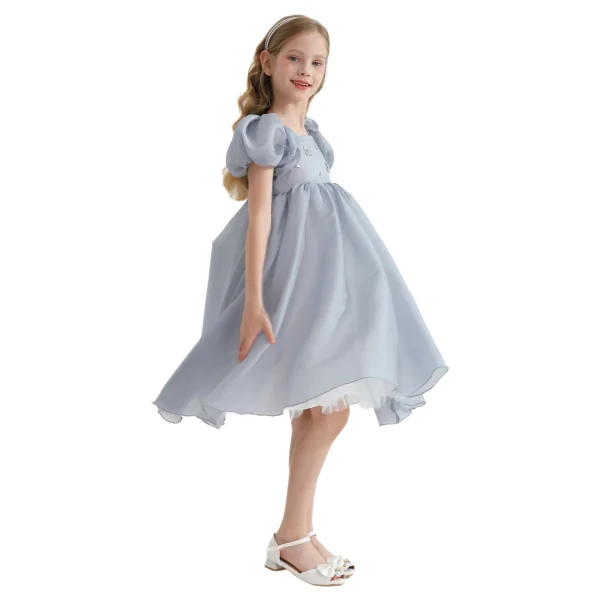Gray Janelle Applique Teacup Gown