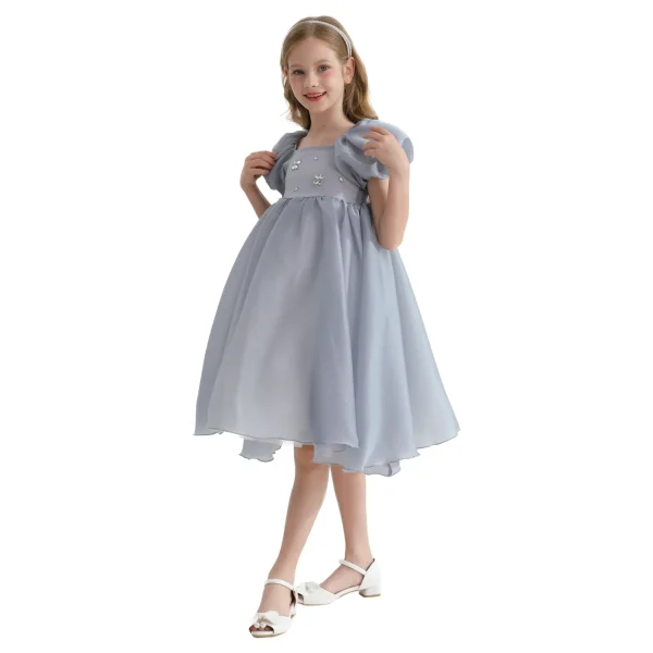 Gray Janelle Applique Teacup Gown