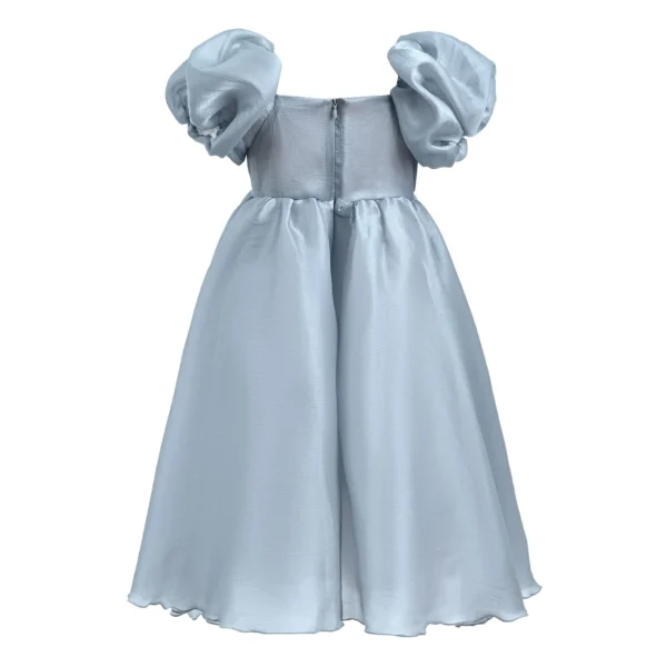 Gray Janelle Applique Teacup Gown