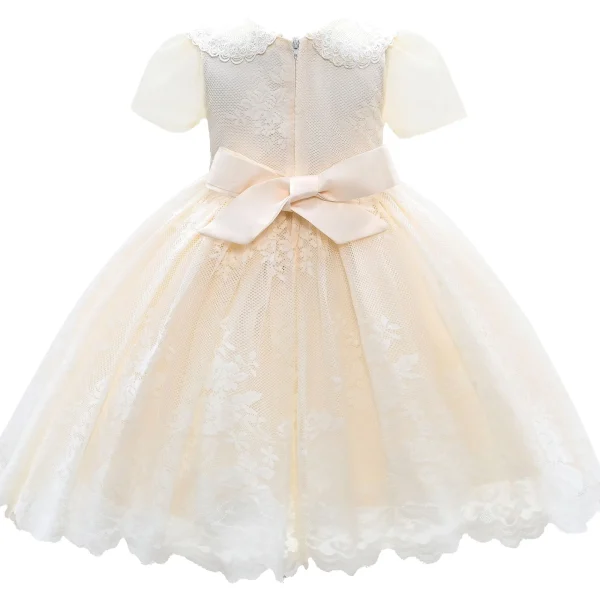 Ivory White Dolly Embroidered Dress