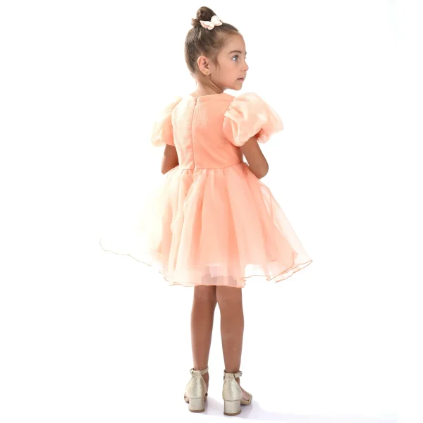 Peach Bow Organza Dress