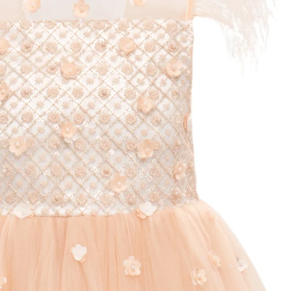 Pink Ayala Dress