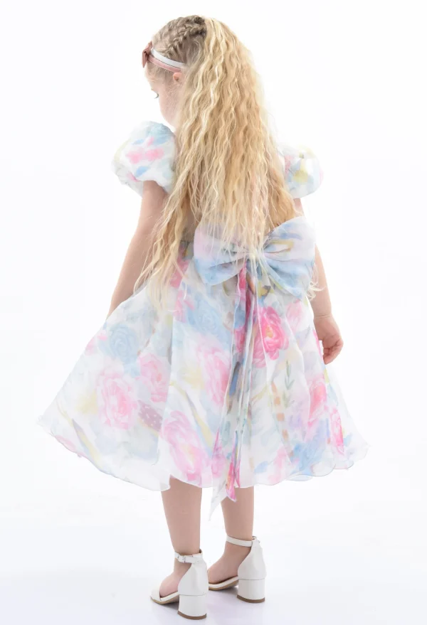Pink Chablis Floral Garden Organza Dress