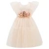 Pink La Croix Dress