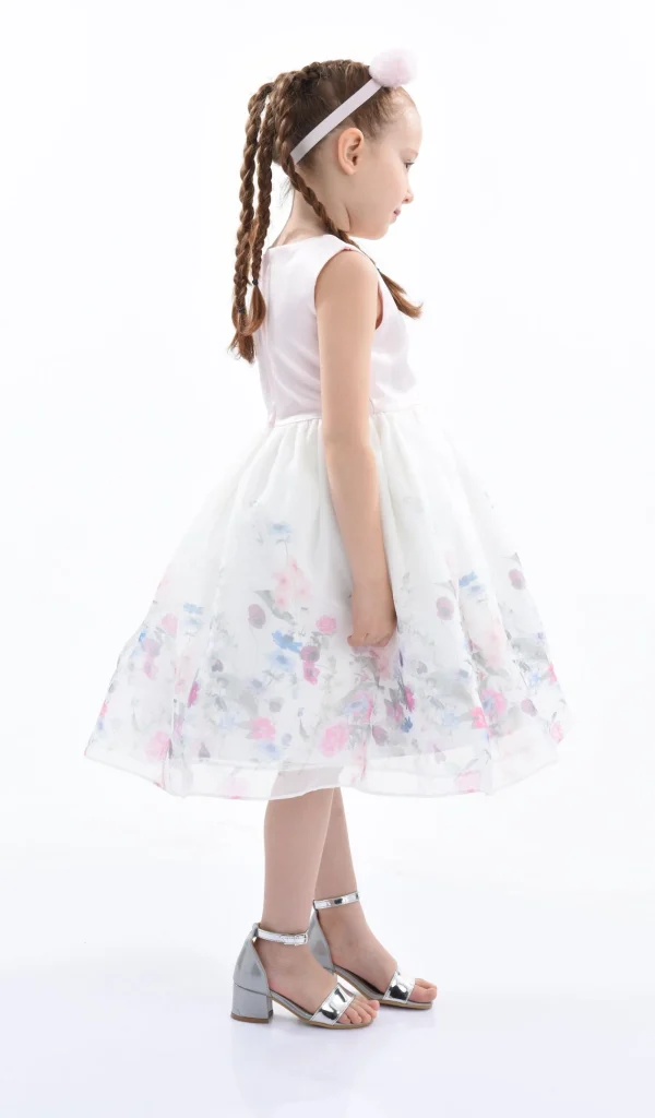 Pink Mabel Floral Garden Organza Dress