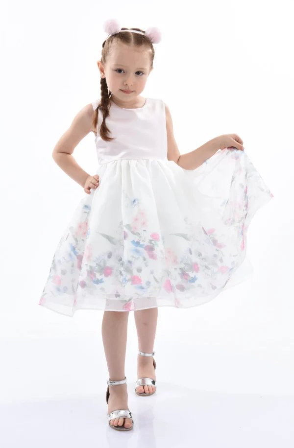 Pink Mabel Floral Garden Organza Dress