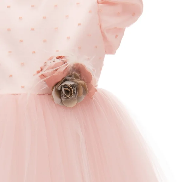 Pink Nez Perce Dress