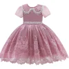 Pink Rose Dolly Embroidered Dress