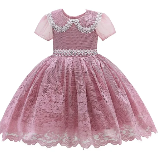 Pink Rose Dolly Embroidered Dress