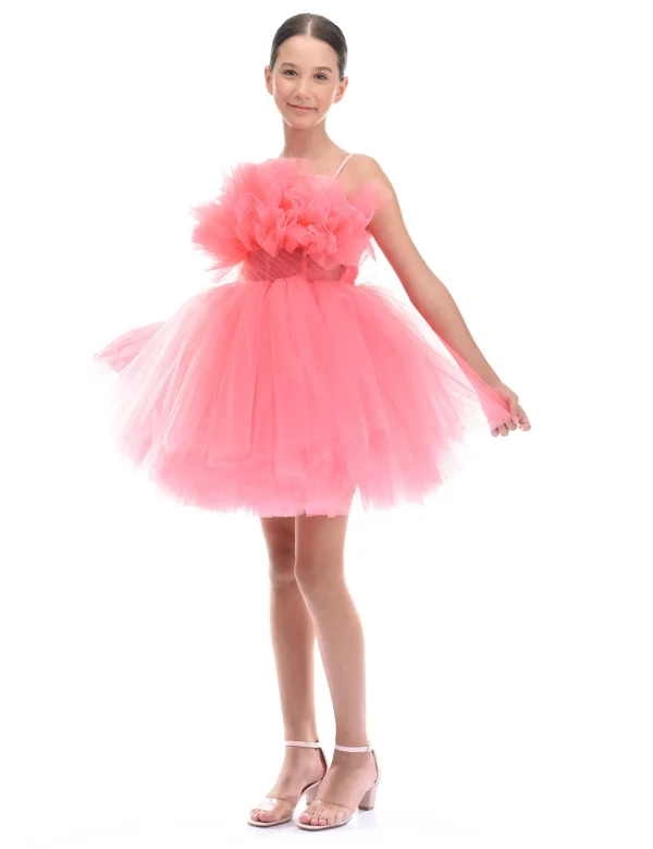 Pink Ruffle Scalleta Dress